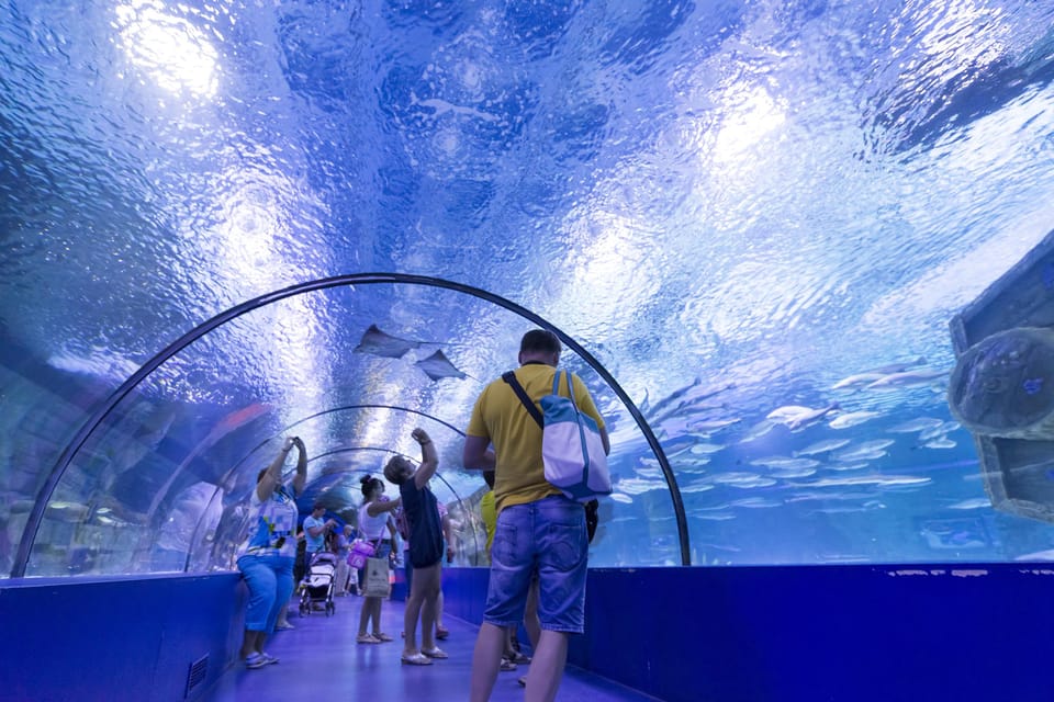 Antalya: Aquarium and Wax Museum Entry Ticket - Animal Encounters You’ll Notice Fast (Sharks, Octopuses, Crocs, and More)