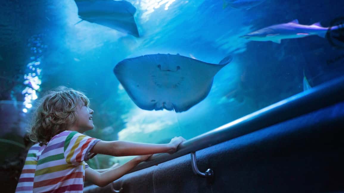 Antalya: Aquarium, Wax Museum, Snow World, Wild Park - Antalya Aquarium: the giant route that keeps you moving
