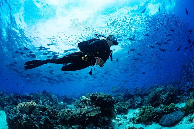 Diving in the Mediterranean sea - The sea day flow: training, time in-between, and what fills your hours