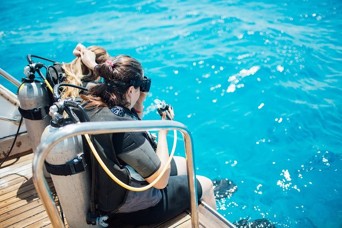 Diving in the Mediterranean sea - What you really get in the water: two underwater scuba sessions, beginner-friendly support