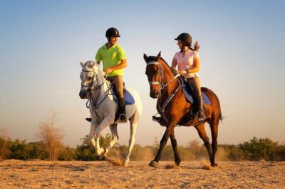 Horse Riding in Antalya,Belek,Lara Beach(Sunrise,Sunset,Day Time) - The itinerary rhythm: what fills the 2 hours