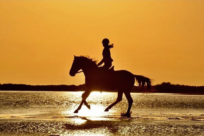 Horse Riding in Manavgat Side Forest and Beach - Key Things I’d Watch For Before You Go