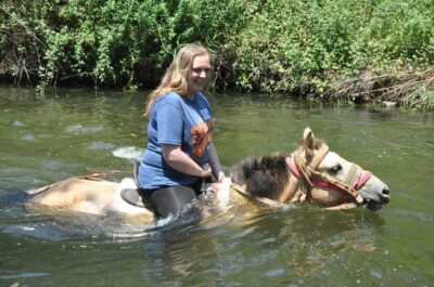 Kemer Horse Safari, pick up from Kiris, Beldibi, Goynuk - Entering the Kemer Forest on Horseback